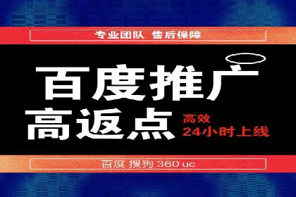 案例研究：SEM代运营服务公司的创新策略